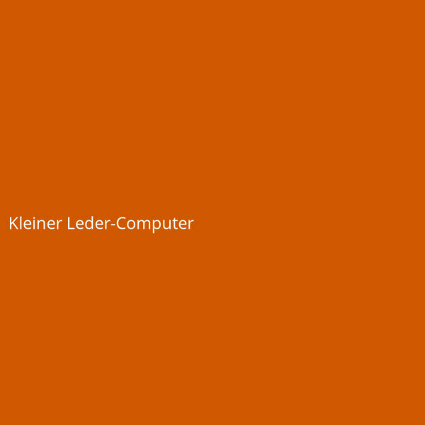 Kleiner Leder-Computer