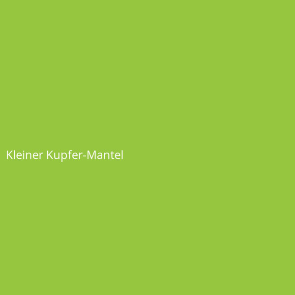 Kleiner Kupfer-Mantel