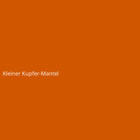 Kleiner Kupfer-Mantel
